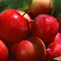 ��ƻ�������������������8��ô�