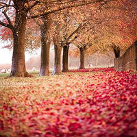 Ψ���⾳��������С·