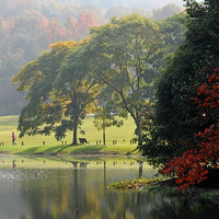 ��ɫ����̫����