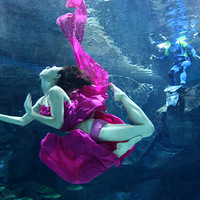 ���Ĵ�ʹˮ������չ�������� ���ذ�Ů��