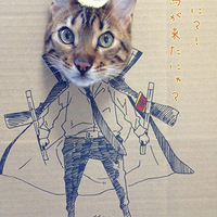 ���������붯��cos��ɱȫ��