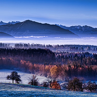 ������Զ�����������Ӱ