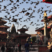 NAMASTE �Ჴ�������ԣ�