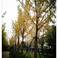 ���·�ڵ������ֺ�Ư����