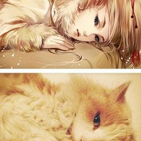 ʷ�����cosplay���ȳ���������ͼ����