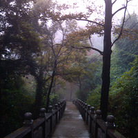 11.30���϶���ɽ