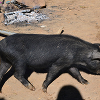 �������----�����֮һ