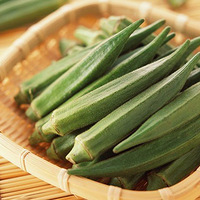 ���ǽ���˵byebye����IN�ʺ���ʳ��