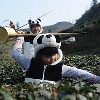 ����è�����������������Ҷ��