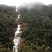 �Լ��о����˱�������Ű���� ǧ��������������