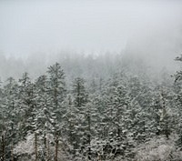 �������ݹ�����������