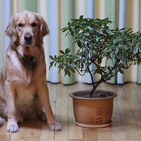 ������Ϣ��