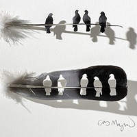 ������ֵ���Ȼ��ë���