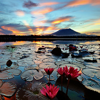 ������Զ�����������Ӱ������