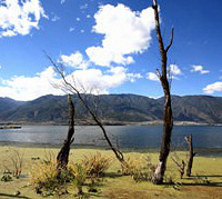 ;���������������У�