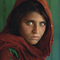 ���������󡶹��ҵ�������Ƭ�״�����