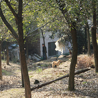 ������Դ�й�Ψһ��̫�������