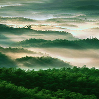 һƬ�����дС��Դ䷱ï