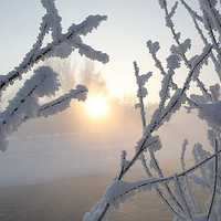 �½����ͺ����������-34�� �ֹ�˪����