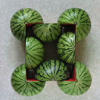 �������˵�ʳ�Ｘ������