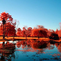 ������ۼ�ĺ�����ӰͼƬ