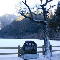 ����ͯ�����硪��կ