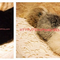 �����ʡ�100%����ëΧ����ëΧ�����׼Ӻ���ë������˯����