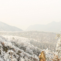 ĩ��֮������÷���һ�ξ������ˡ�����ڡ����˵�е���ڡ����