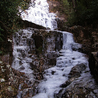 �㽭���ϼ�����Ԫ�ذ�ɽ�涬������