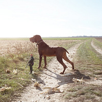 Ȥζ��Ӱ���ұ�С�ˣ�