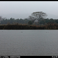 é�Ҳ��Ȳ���С��