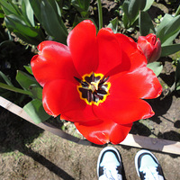 ������ �����������õ�����