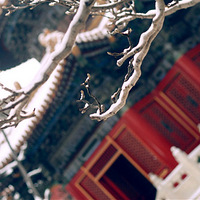 ��ζ���У��ʹ���ѩ