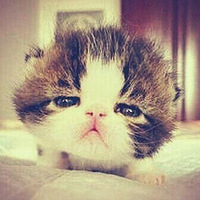 ����һ���ʸ�