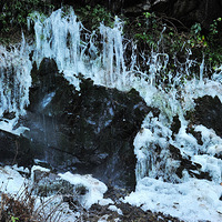 2012.12.31ͽ���տ��ŵ�