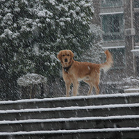 ѩ���顣�����顣��������