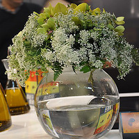 ��ѩ������ʳ�������������ʳ������