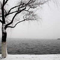 �����ɵ�����������~  