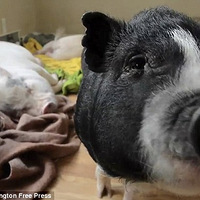 ��һŮ����40ͷС��ͬס������