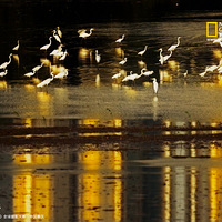 ���ҵ���2012��Ӱ�������й������¼���