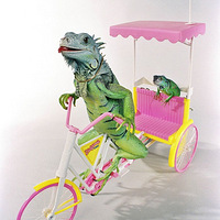 ���а����桱������� ģ������Ω��ΩФ