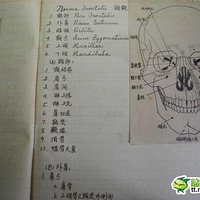 �����бʼǣ�����ɹ90��үү��ѧʱ�αʼǣ�