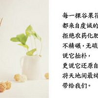 ���������̻𣬻���һ�ۻ���