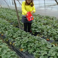 ���ؽ���Ҳ�ܳԵ���ζ����Ľ��²�ݮ