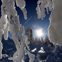 ���������������ѩ����Ӱ