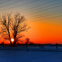 �½��������ź������ӱ���ѩԭ��������