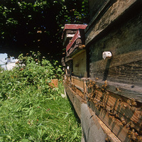 ���ڷ����㲻�ò�֪��10����ʵ