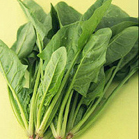 ����ʱ�� Ů��Ӧ�óԵ�ʳ��