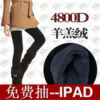 ��������������ɹ��ľ�������