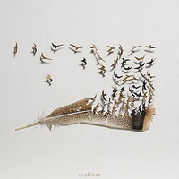 ����ֻʣ��һ����ë����Ҳ�ܷ���